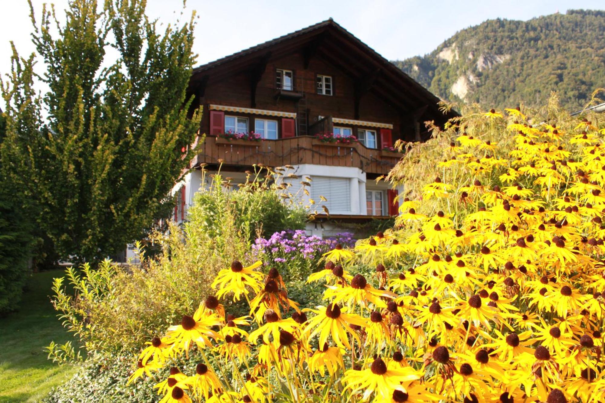 Adventure Guesthouse Interlaken Unterseen Exterior photo